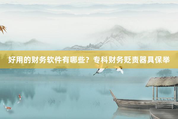 好用的财务软件有哪些？专科财务贬责器具保举