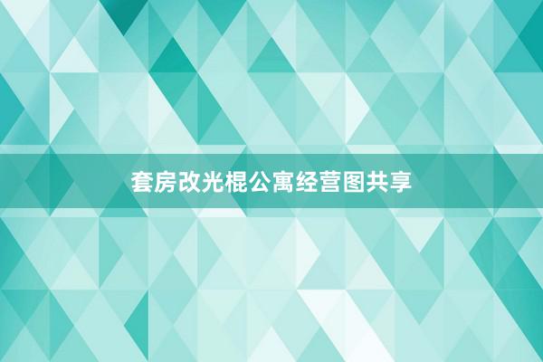 套房改光棍公寓经营图共享
