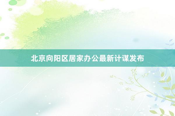 北京向阳区居家办公最新计谋发布