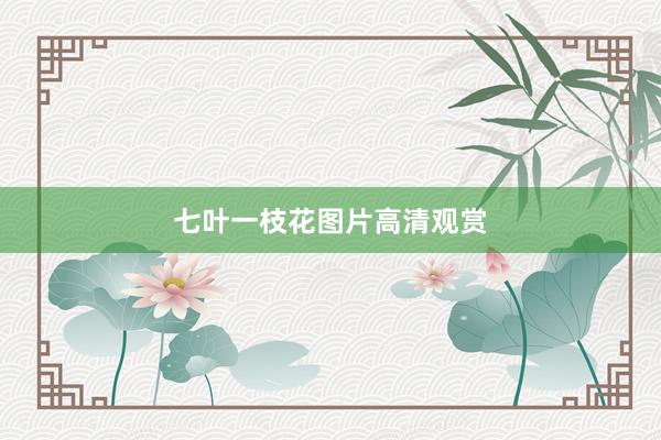 七叶一枝花图片高清观赏
