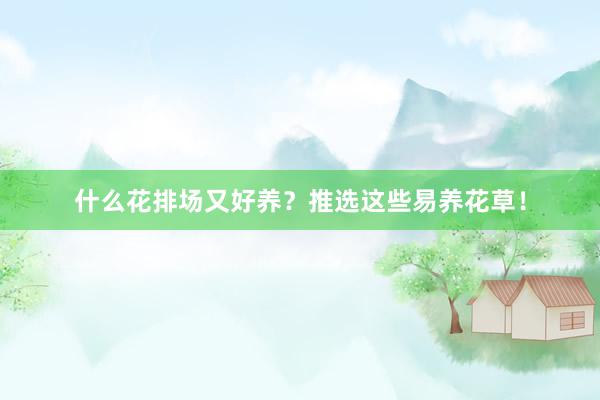 什么花排场又好养？推选这些易养花草！