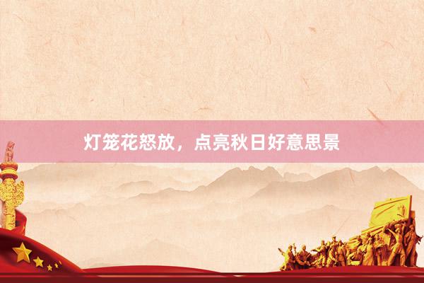灯笼花怒放，点亮秋日好意思景