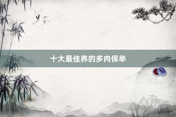 十大最佳养的多肉保举