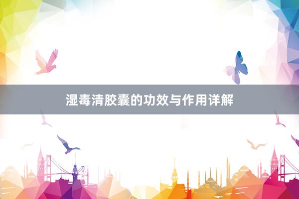 湿毒清胶囊的功效与作用详解