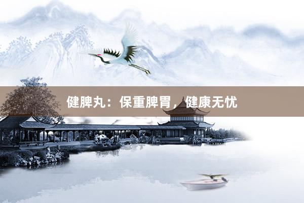 健脾丸：保重脾胃，健康无忧